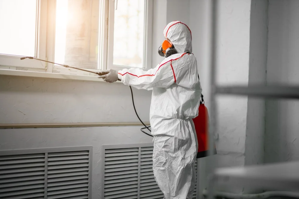Professional mold remediation services in Rutledge, TN